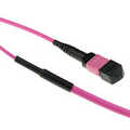 ACT OM4 trunkkabel polarity B MTP/MPO female 12v 25 meter